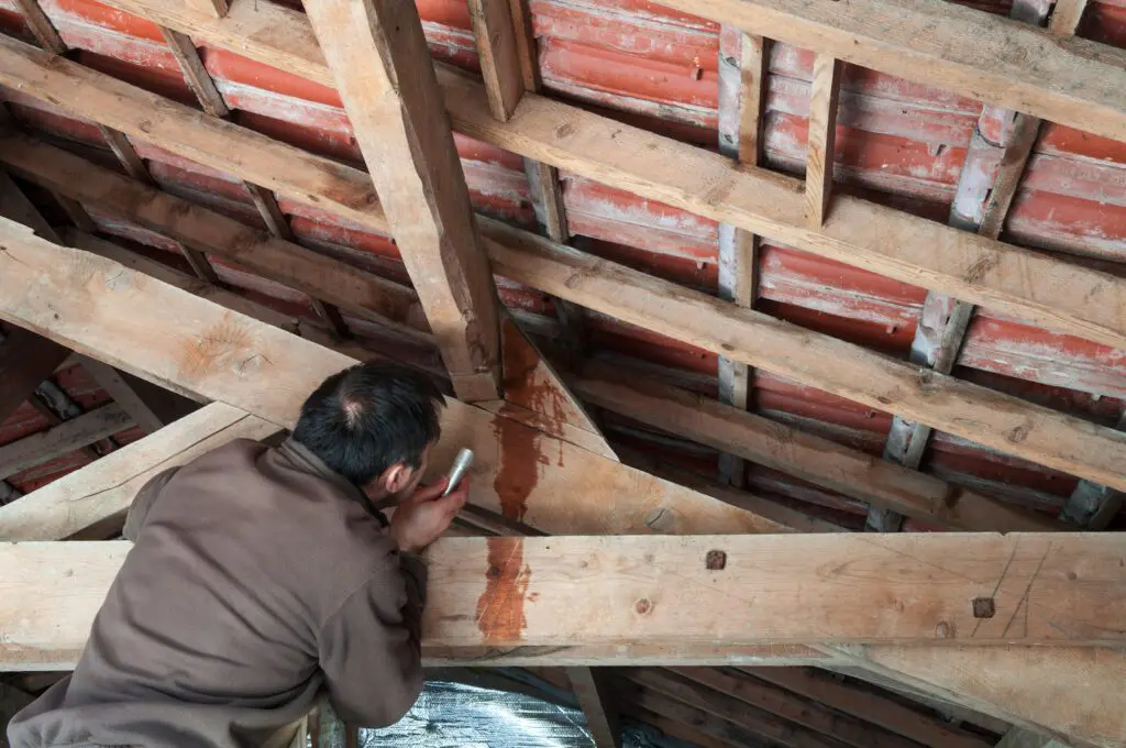 homeowner inspects roof and attic to find leak causing stains on ceiling