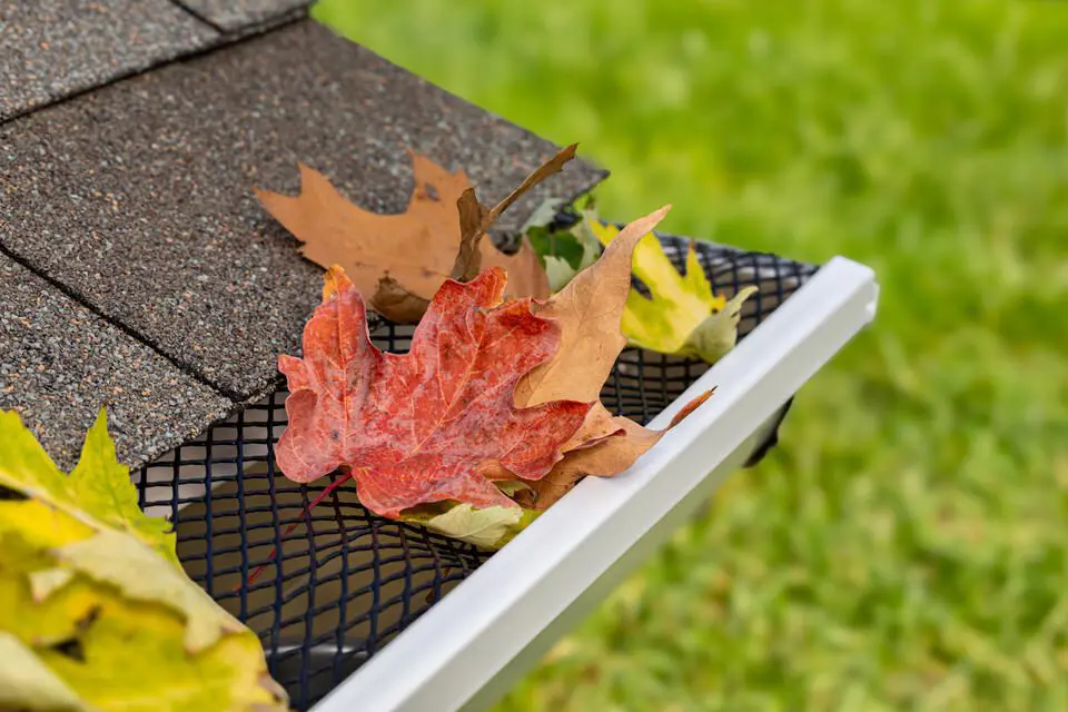 gutter cleaning-gutters protected with gutter guards