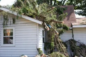 roof insurance claim-document roof damage like trees and debris fallen on roof