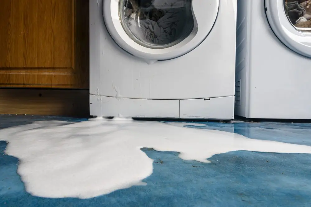 Why Your Washing Machine Is Leaking from the Bottom and How to Avoid Water Damage  - AllPhase Restoration