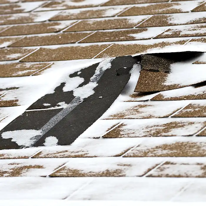 snow roof damage