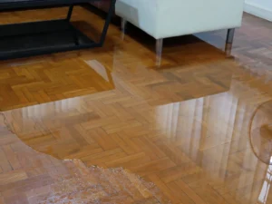 water flooding on the living room floor