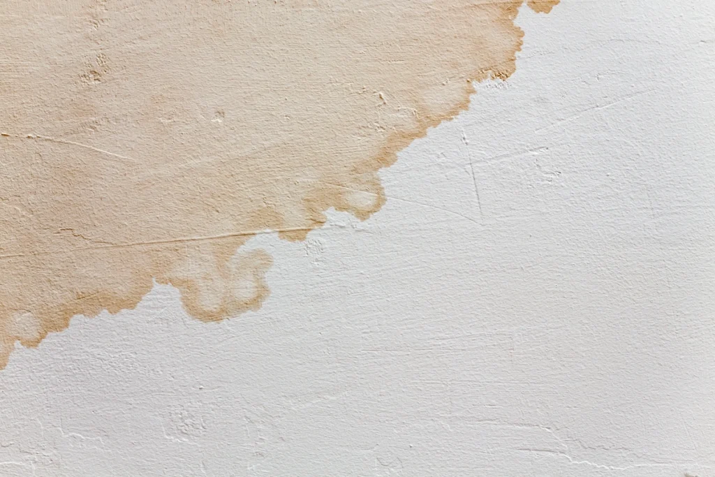 How to Paint a Wall After Water Damage