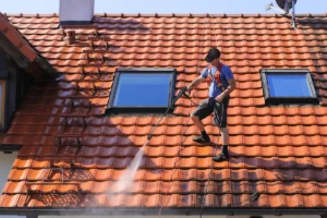 clay tile roof worker pressure washing
