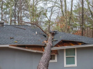 roof-with-major-tree-damage