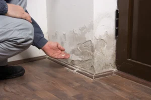 basement-leak-where-wall-meets-floor