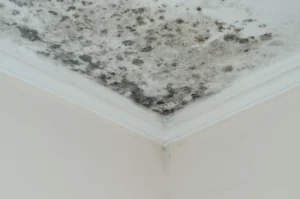 moldy ceiling