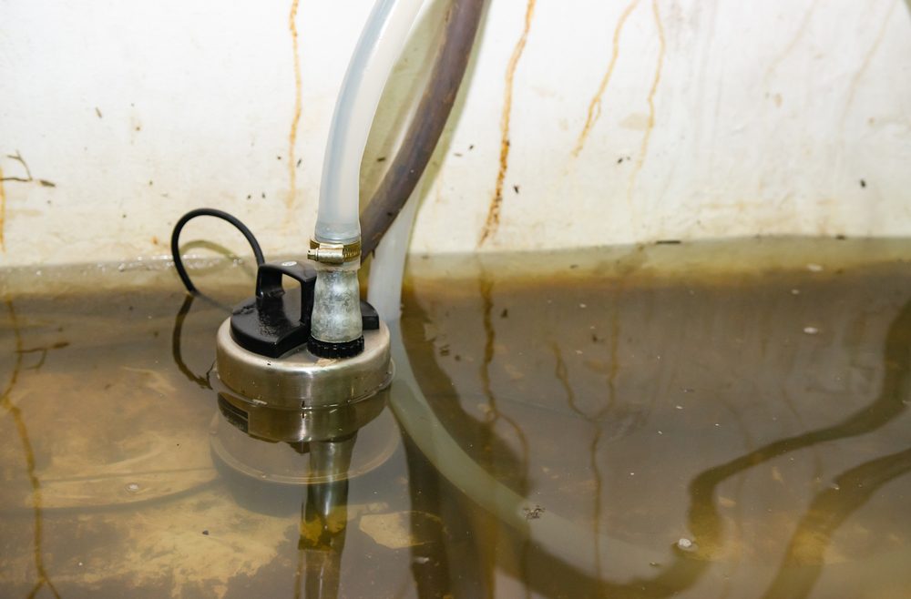 Water Extraction - AllPhase Restoration flood in the house